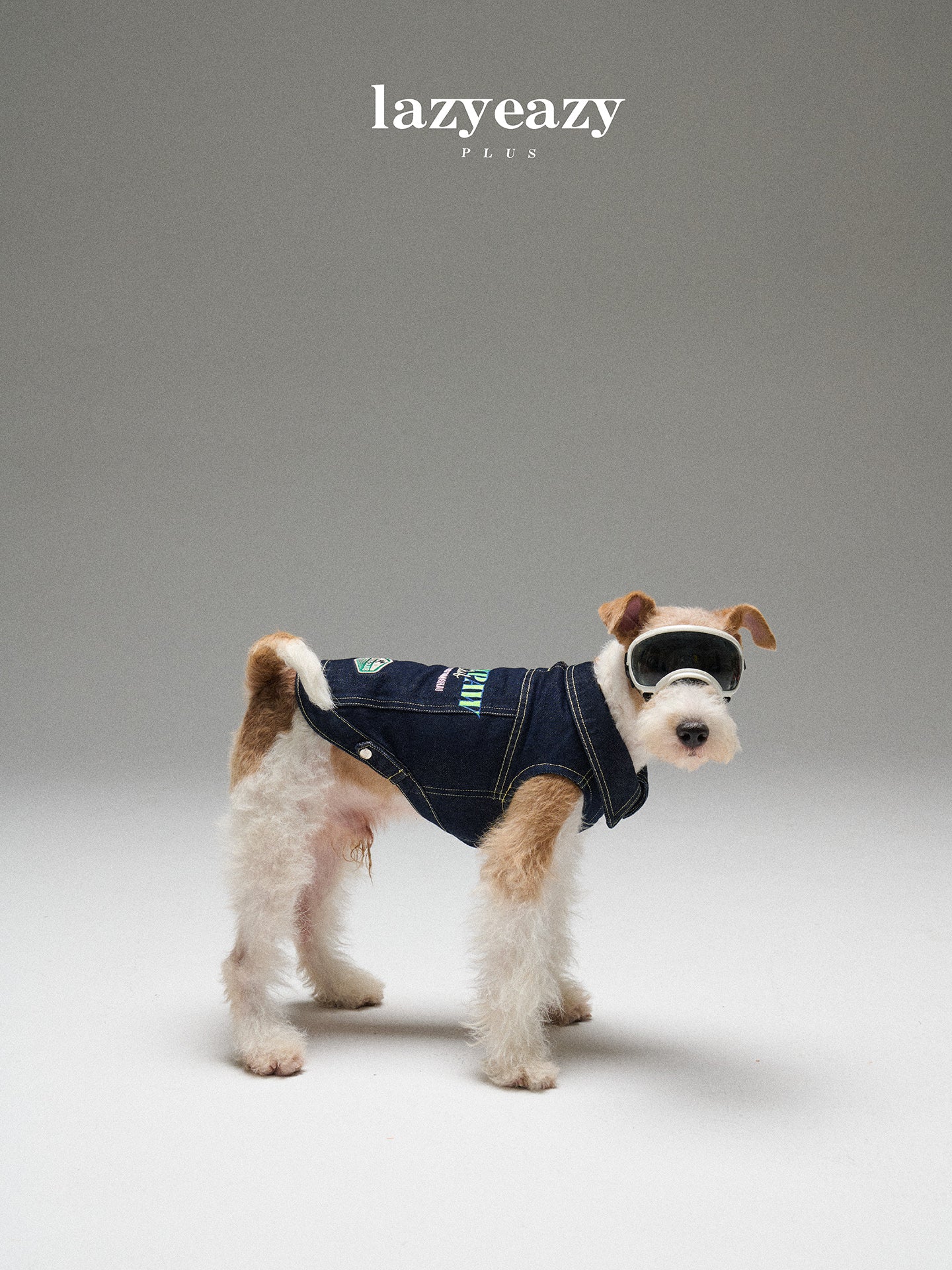 Embroidered Denim Vest