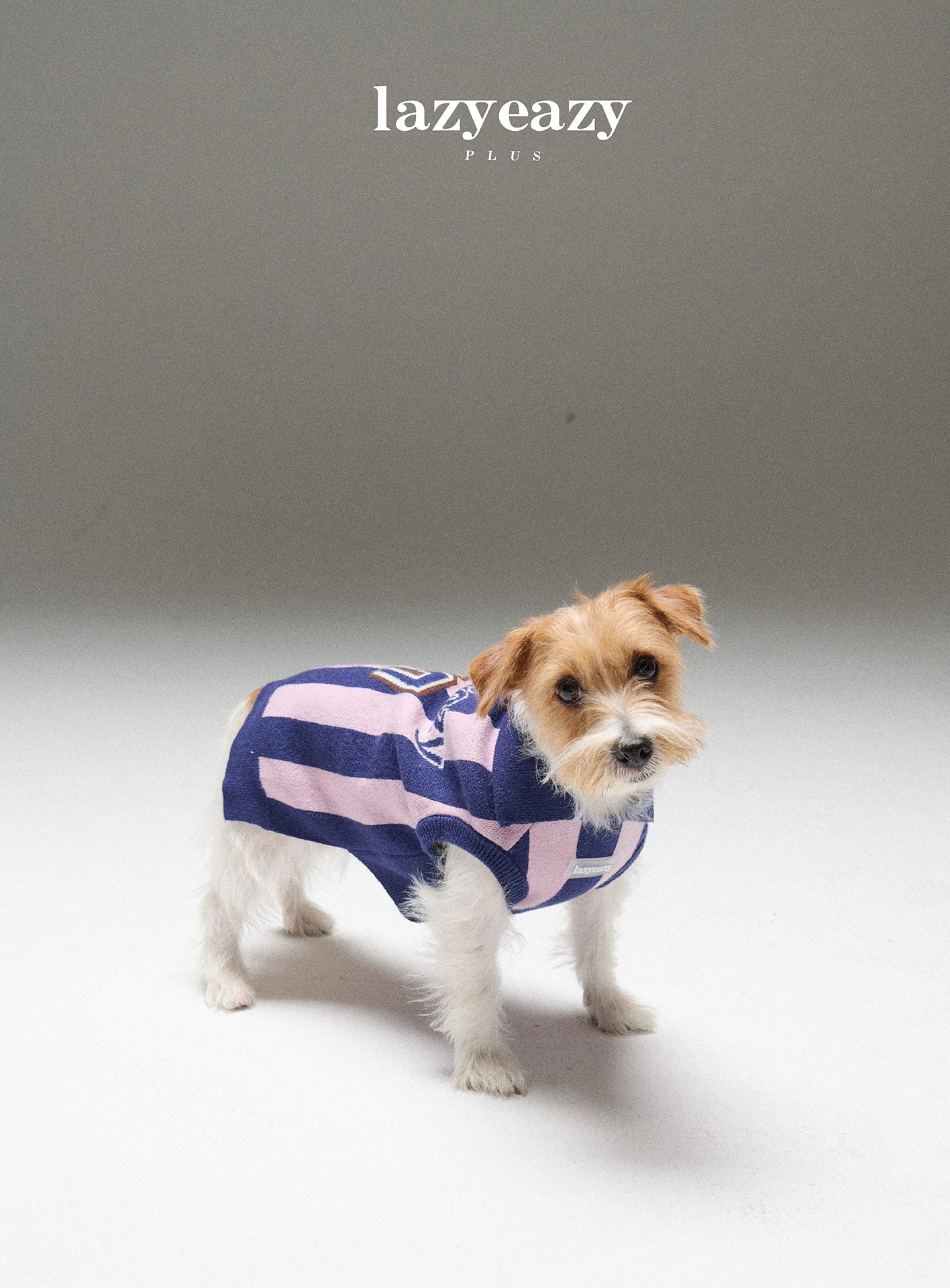 Striped Sporty Sweater