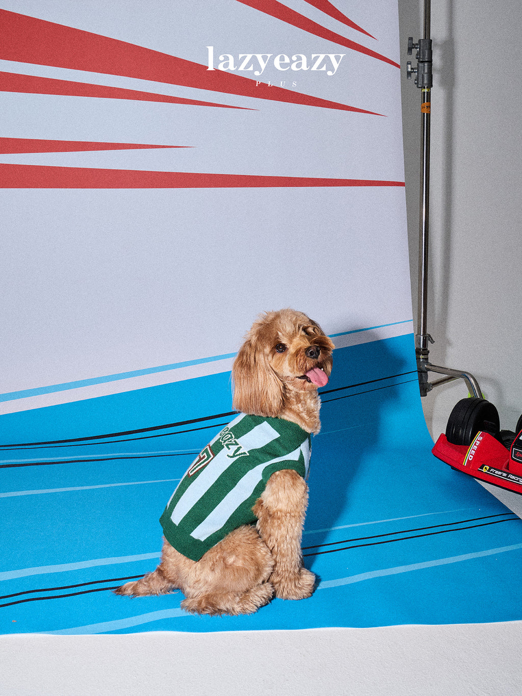 Striped Sporty Sweater