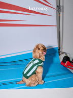 Striped Sporty Sweater