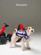 Striped Sporty Sweater