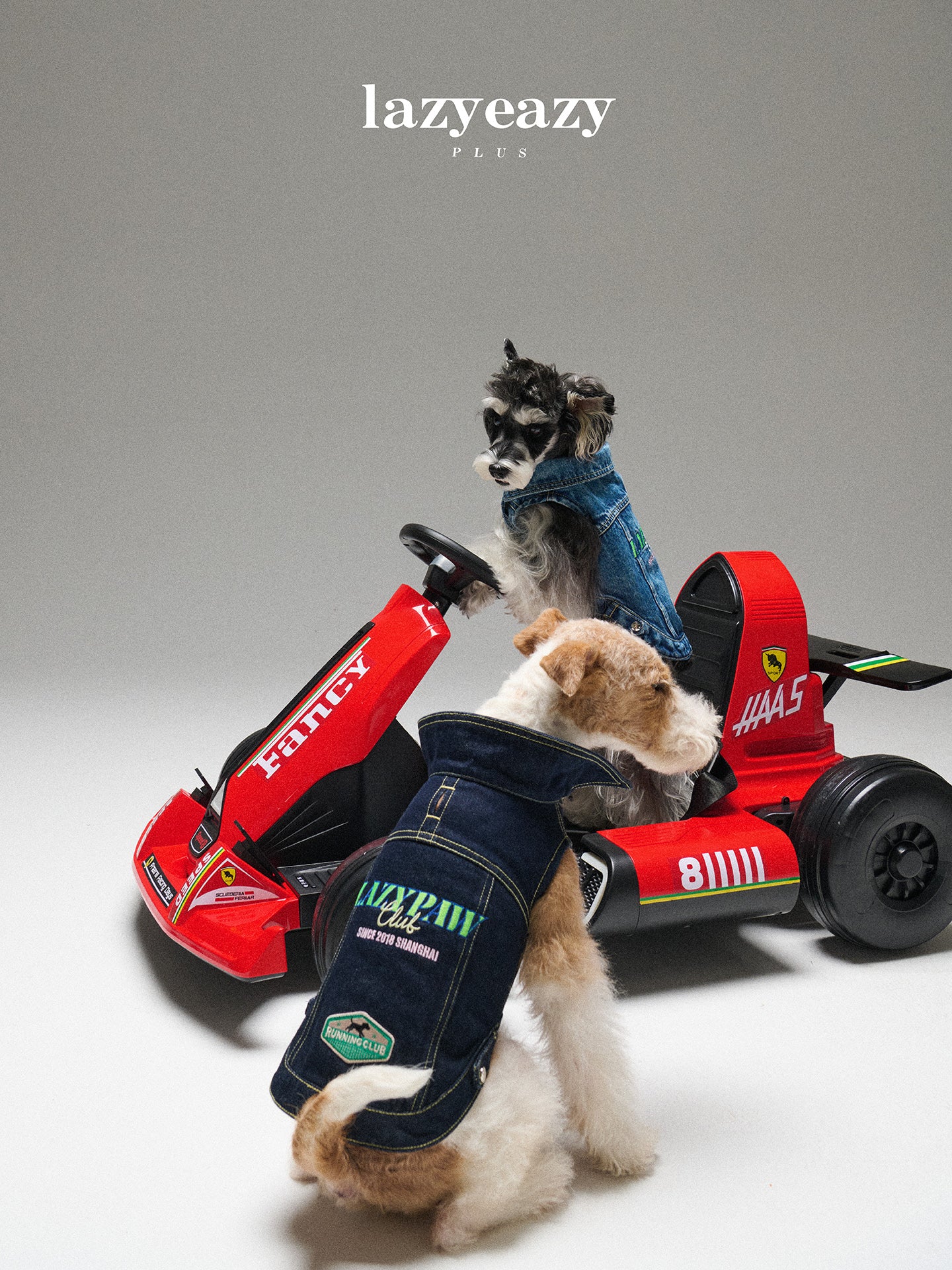 Embroidered Denim Vest