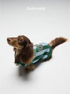 Striped Sporty Sweater