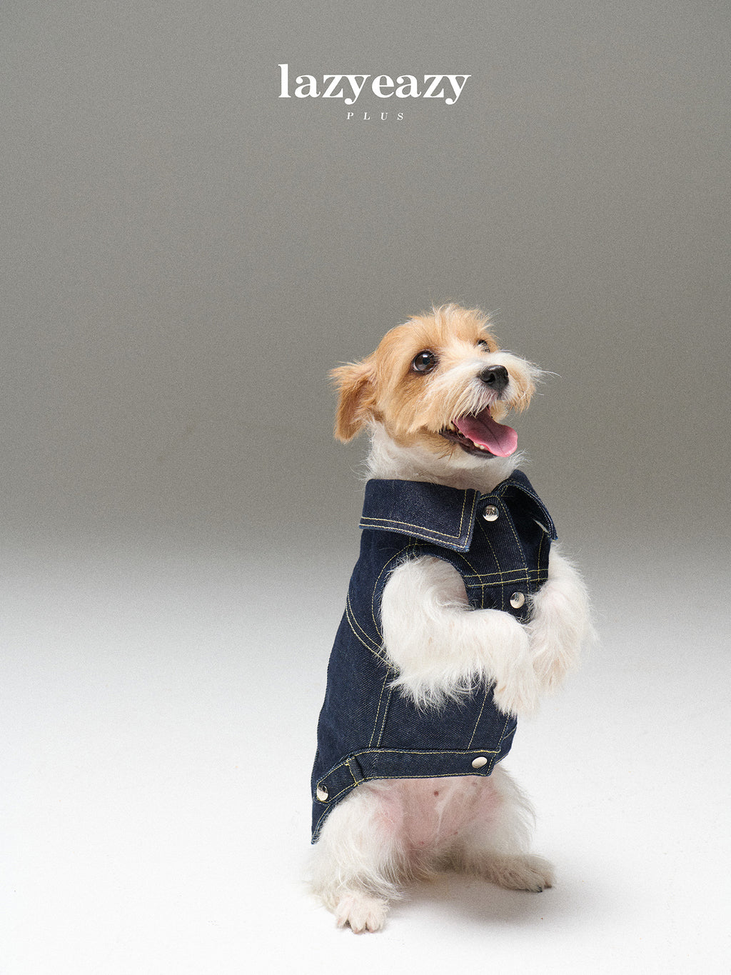Embroidered Denim Vest