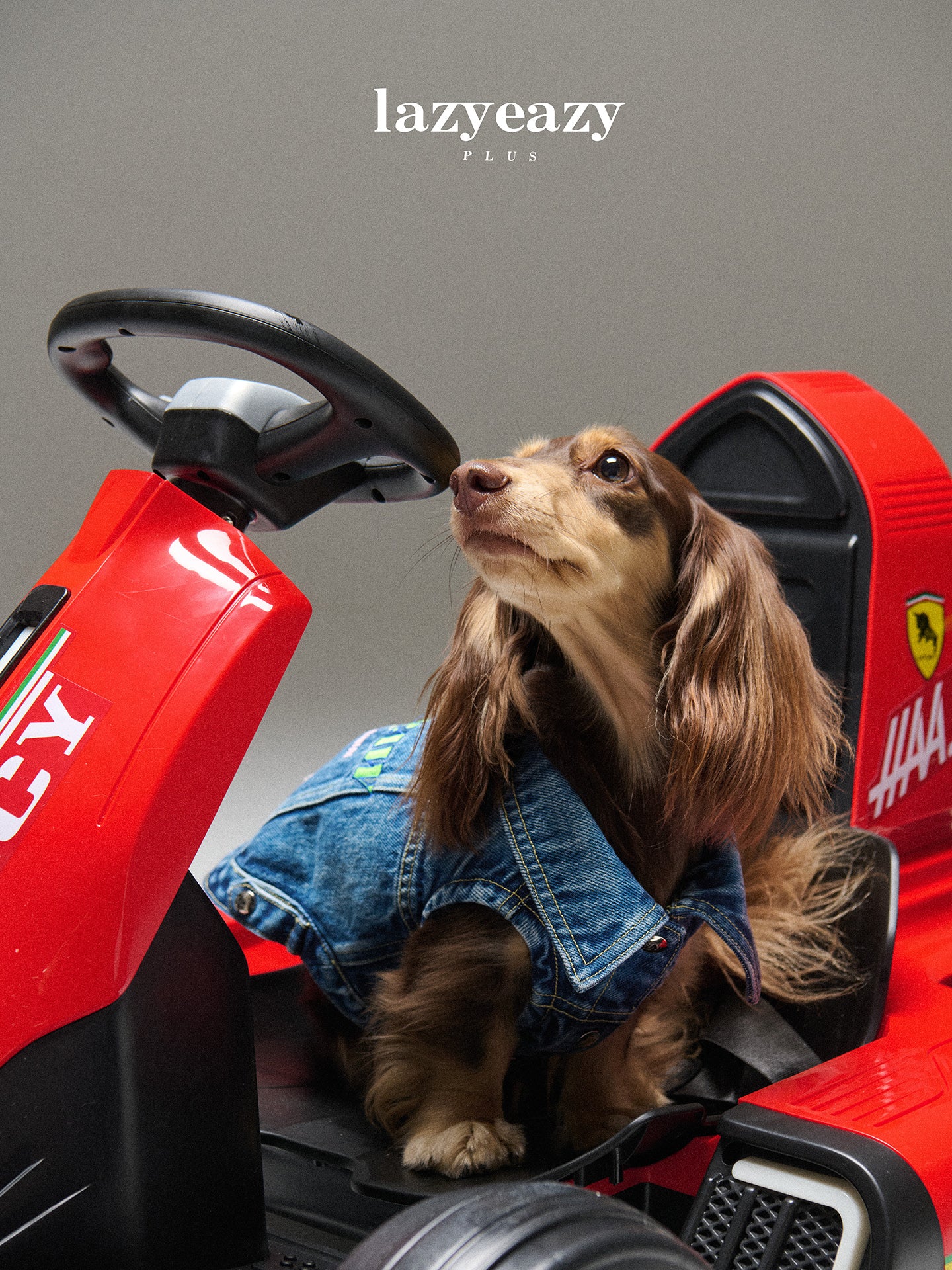 Embroidered Denim Vest